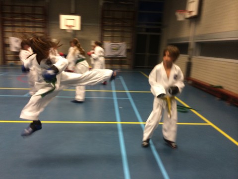 Taekwon-Do technieken